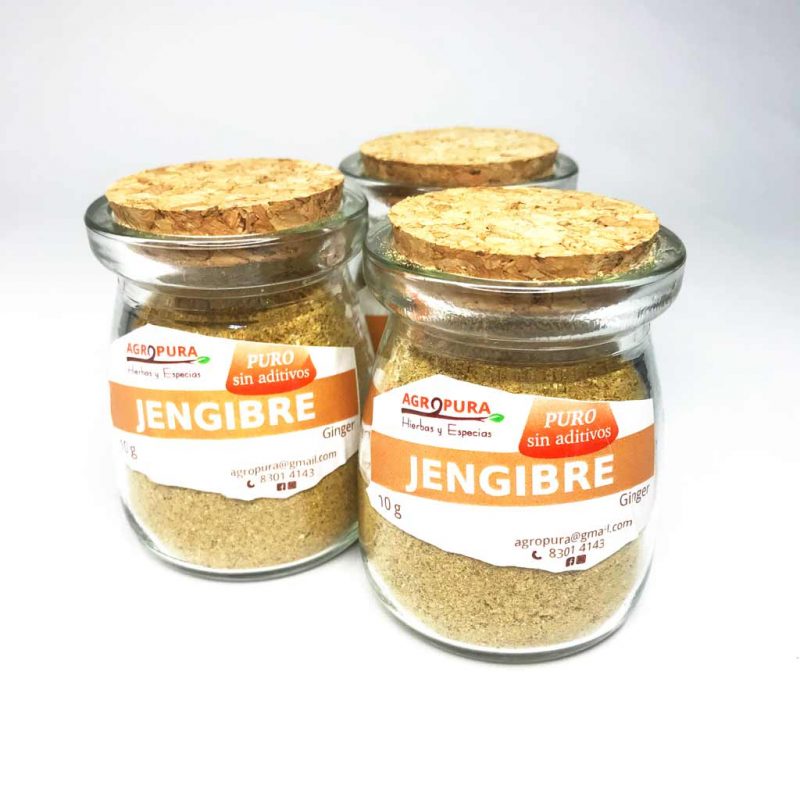 Jengibre – Especia pura en polvo – 28g – Agropura