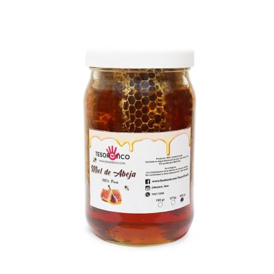 Miel de Abeja Pura con Panales de origen Multifloral  – Envase de vidrio super grande – 600g