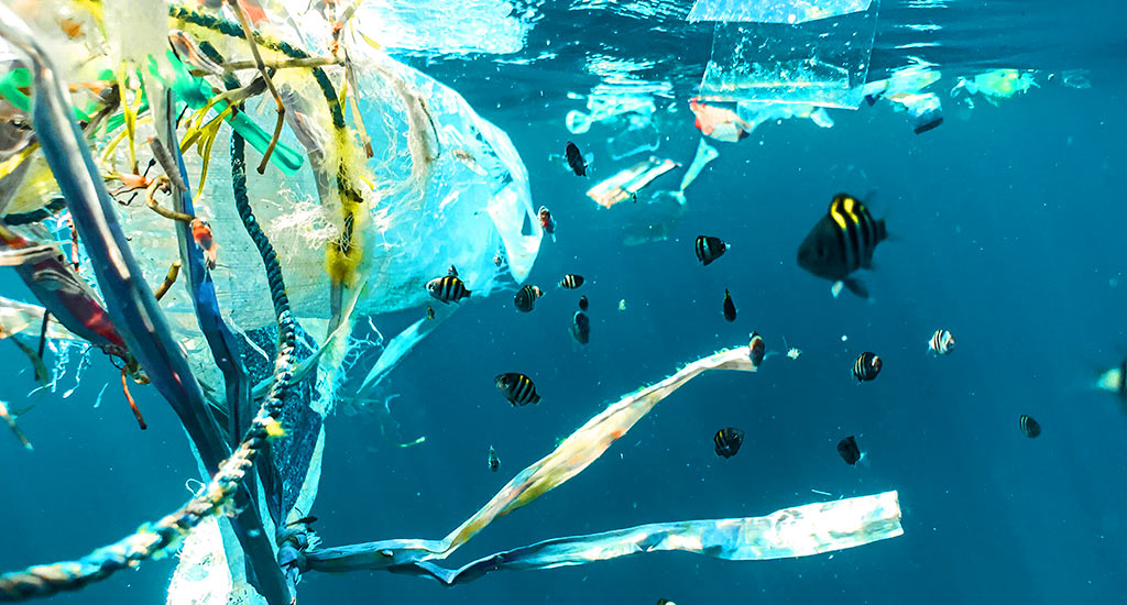 una forma salvaje de eliminar la contaminación plástica de nuestros océanos